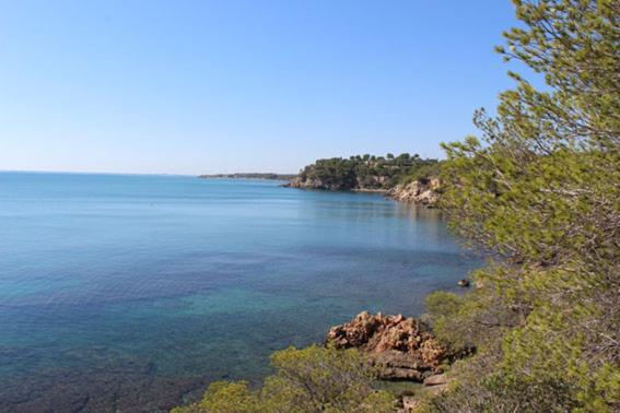 Apartmán Casita De Pescadores Con Vista Al Puerto L'Ametlla de Mar Exteriér fotografie