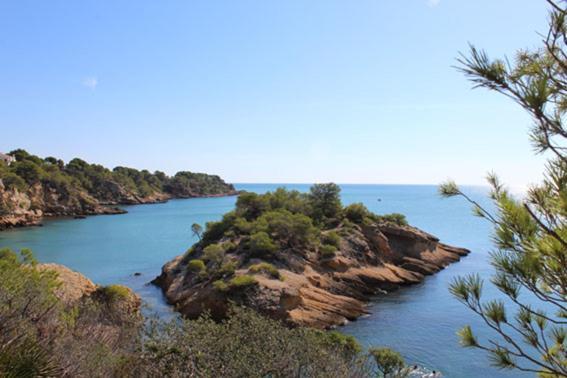 Apartmán Casita De Pescadores Con Vista Al Puerto L'Ametlla de Mar Exteriér fotografie
